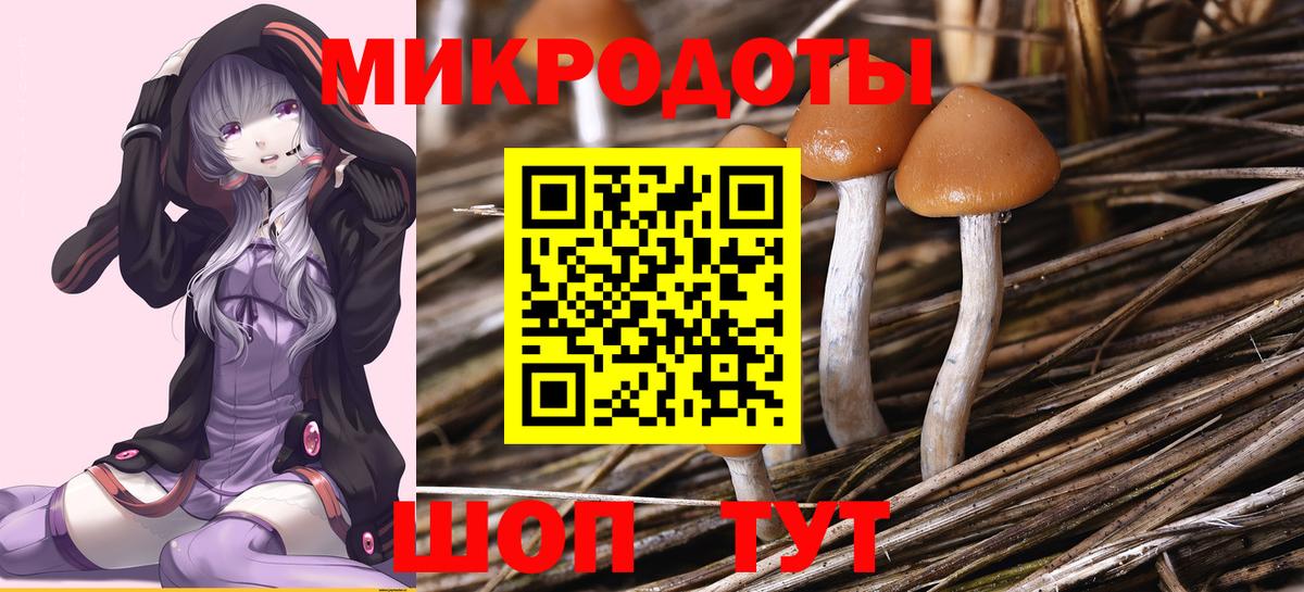 Галлюциногенные грибы GOLDEN TEACHER  Вход с VPN  Старый Оскол  Псилоцибиновые грибы Magic Shrooms 